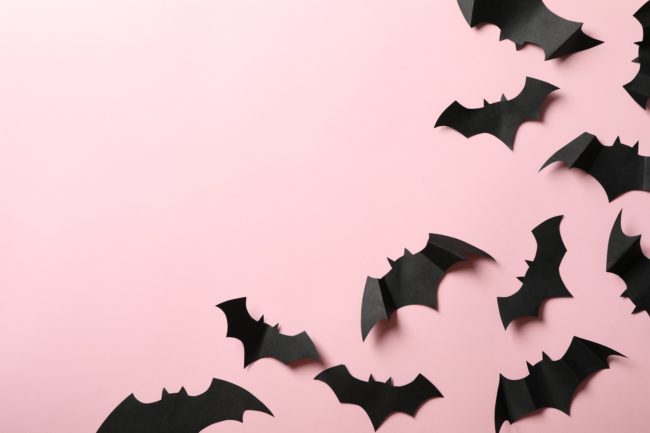 Black Paper Bats on Pink Background Flatlay